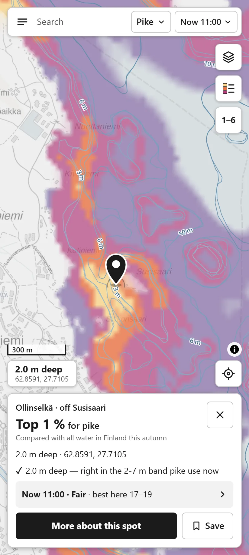 Shipped spot card on Kallavesi: the map coloured by rank with a pin on a pale gold patch, and a bottom card reading "Ollinselkä · off Susisaari", "Top 1 % for pike", "2.0 m deep, right in the 2-7 m band pike use now", and "Now 11:00 · Fair · best here 17–19".